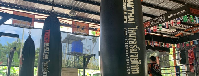Tiger Muay Thai & MMA Training Center is one of Lieux qui ont plu à Evgeniia.