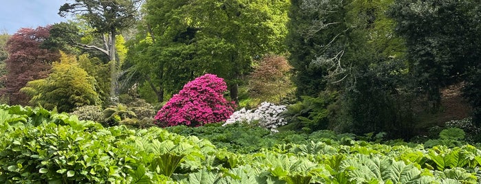 Trebah Garden is one of Cornwall.