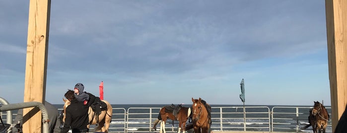 Virginia Beach Horseback is one of Date Ideas ~ 3.