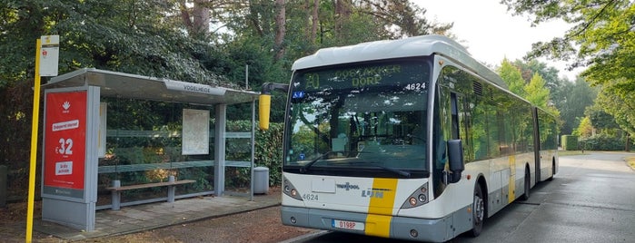 Bus 70 Zwijnaarde - Gent - Oostakker is one of สถานที่ที่ Björn ถูกใจ.