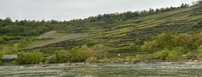 Upper Middle Rhine Valley is one of 1day.