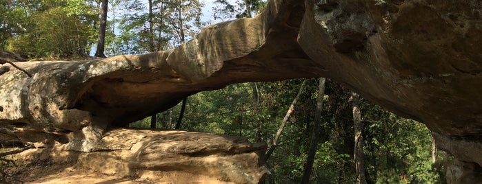 Princess Arch is one of Great Red River Gorge Sights!.