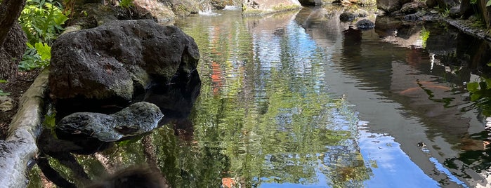 Koi Pond At Hilton Hawaiian Village is one of Stephan 님이 좋아한 장소.