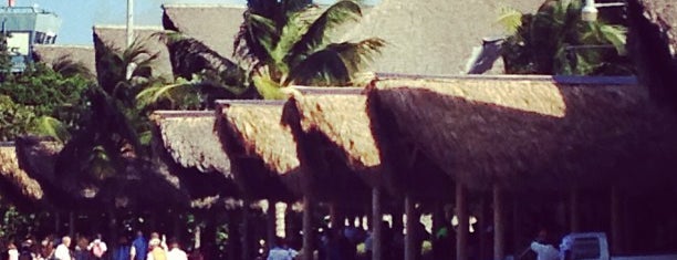 Punta Cana International Airport (PUJ) is one of Joe’s Liked Places.