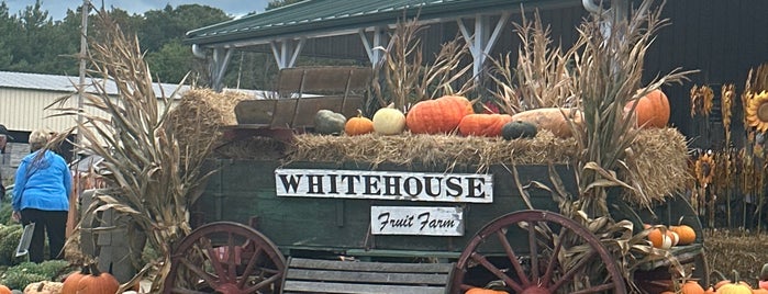 White House Fruit Farm is one of Places to go OHIO.