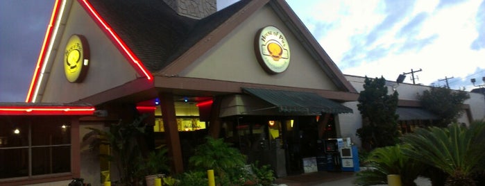 House of Pies is one of Locais curtidos por Scott.