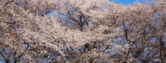 みずほ台中央公園 is one of 公園_埼玉県.