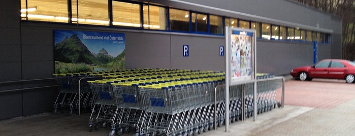 Lidl is one of Liste Neulengbach.