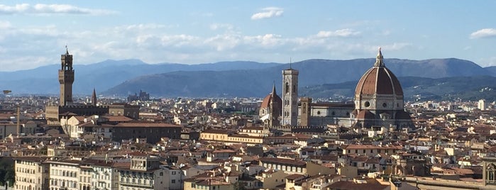 motyo@florence