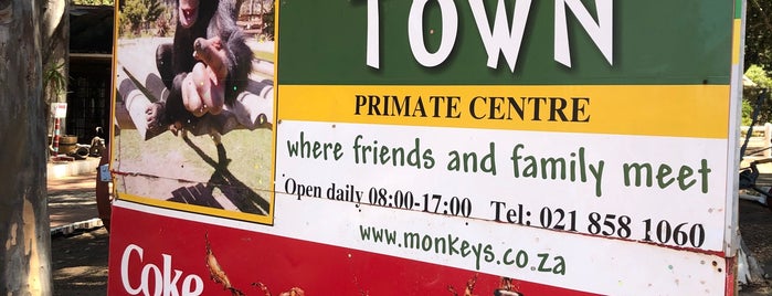 Monkey Town is one of If you are a #tourist in Cape Town.