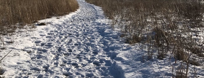 Ice Age Trail is one of Madison Must-Do's for Newbies.