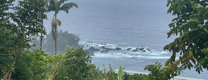 Laupahoehoe Scenic Point is one of Big Island.