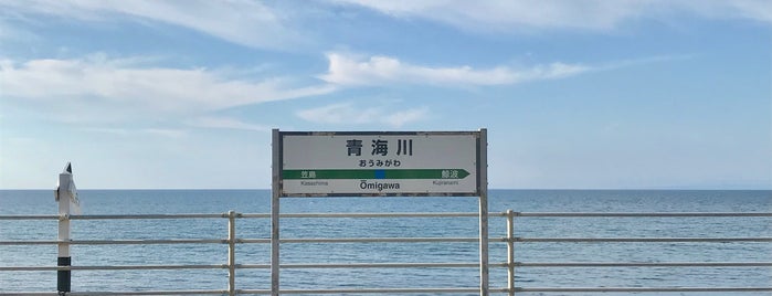 Omigawa Station is one of 新潟県の駅.