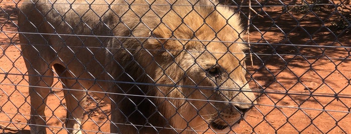Lion Park is one of Top 10 favorites places in Gaborone, Botswana.