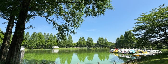 Kawagoe Aquatic Park is one of 【関東】都県立都市公園一覧.