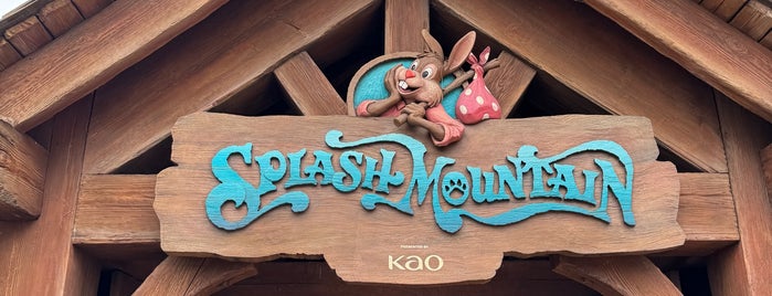 Splash Mountain is one of Tokyo Disneyland.