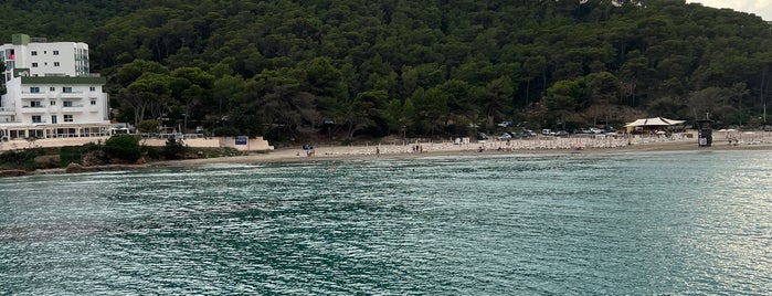 Cala Llonga is one of Mediterranian. Море, пляжи.