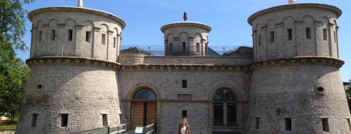 Fort Thüngen is one of Aus, Bel, Ger & Lux.