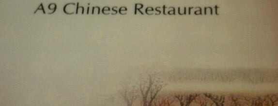 A9 Chinese Restaurant is one of We Need To Try.