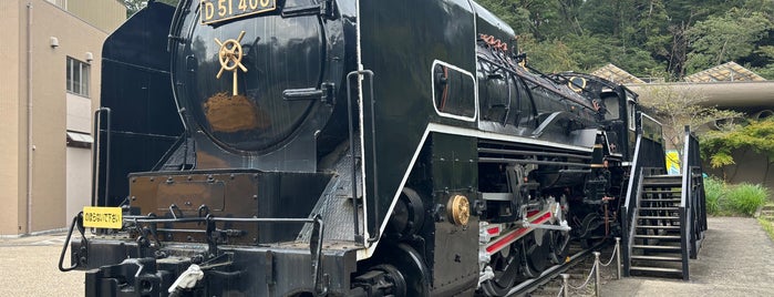 蒸気機関車 D51 408号機 is one of 保存車両.