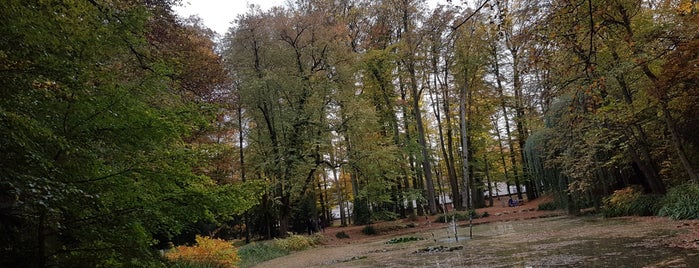Orangerie im Schloßpark is one of OÖ.