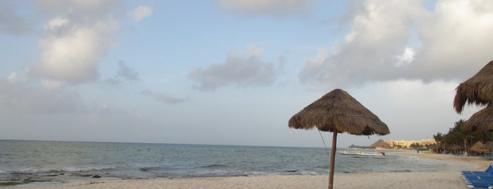 Playa Caracol is one of Laura : понравившиеся места.