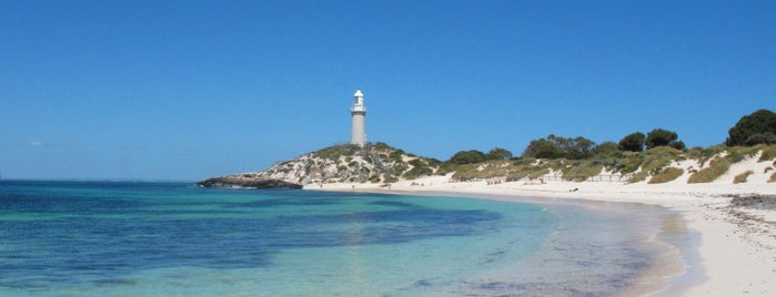 Rottnest Island is one of Australia Travel Tips.