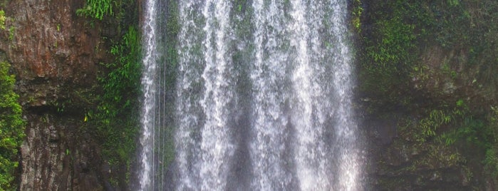 Millaa Millaa Falls is one of Australia Travel Tips.