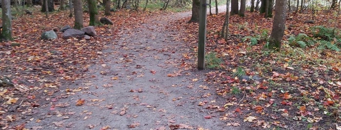 Laajalahden luontopolku is one of Orte, die mikko gefallen.