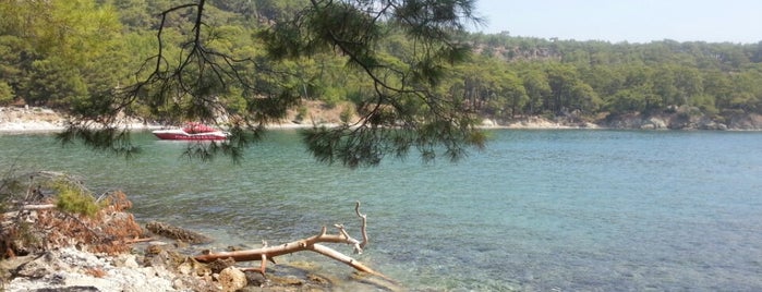 Phaselis Plajı is one of Antalya Parklar.