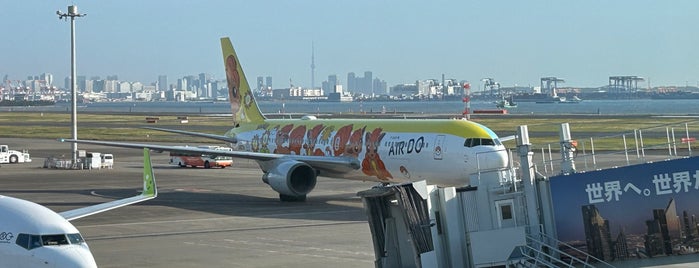 Gate 53 is one of 羽田空港(Haneda Airport, HND/RJTT).