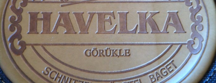 Havelka is one of BURSA.