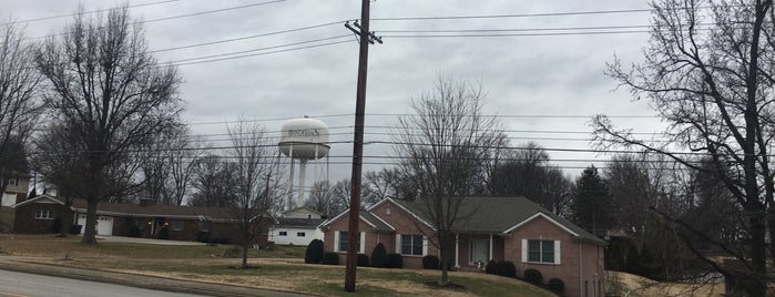 City of Henderson is one of 808 Center Street, Henderson, Kentucky 42420.