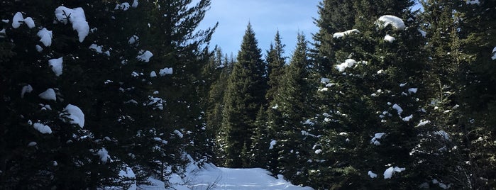 Sourdough Trail is one of Alikaさんのお気に入りスポット.