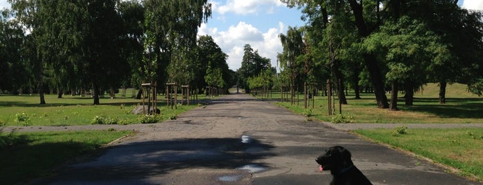 Park Tysiąclecia is one of Parki w Poznaniu // Poznan Parks.