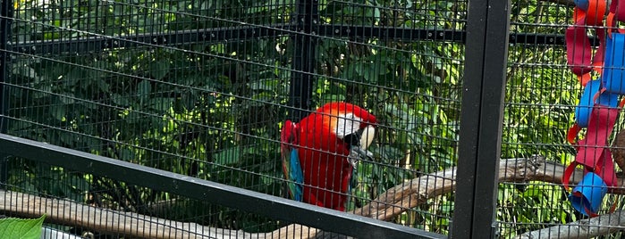 Bergen County Zoological Park is one of Tempat yang Disukai Denise D..