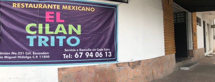 El Cilantrito is one of สถานที่ที่ Isaac ถูกใจ.