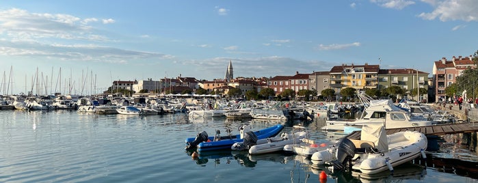 Marina Izola is one of All-time favorites in Slovenia.