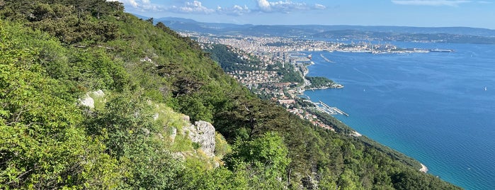 Santuario Monte Grisa is one of Trieste.