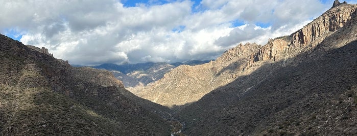 Sabino Canyon Trail is one of Take zucchini.