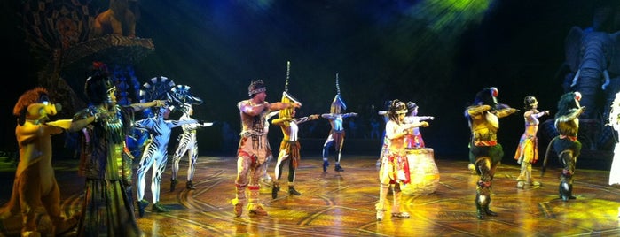 Festival of the Lion King is one of Hong Kong Disneyland.