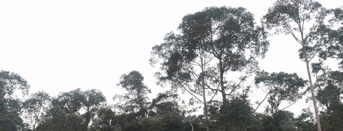 Hutan Lipur Gunung Berlumut is one of Go Outdoor #1.