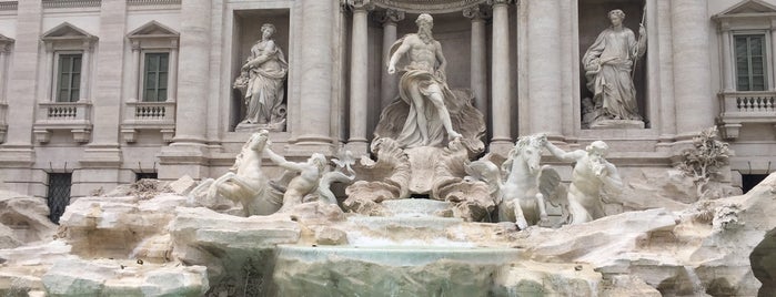 Fontana di Trevi is one of Posti che sono piaciuti a Mark.