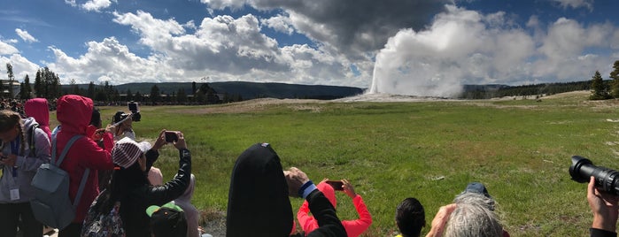 Yellowstone National Park is one of Lugares favoritos de Mark.