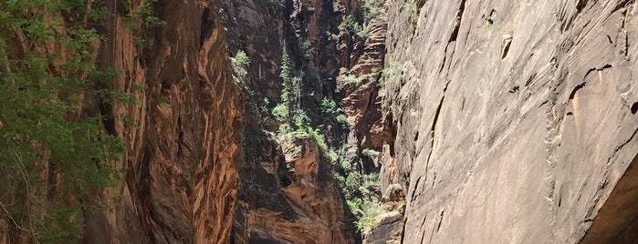Zion National Park is one of Mark’s Liked Places.