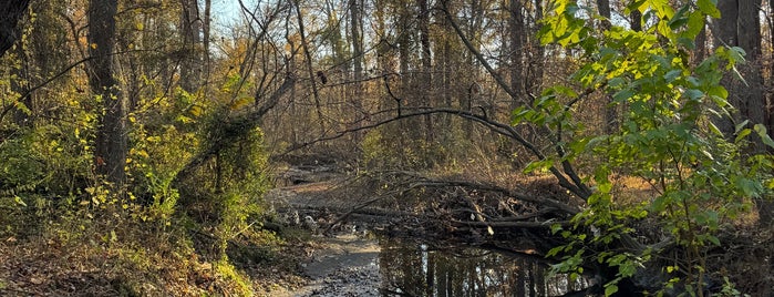 Eakin Community Park is one of NoVA Favs & Frequents.