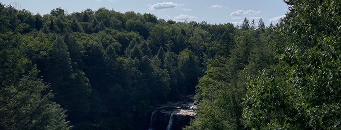 Blackwater Falls State Park is one of Favorites.