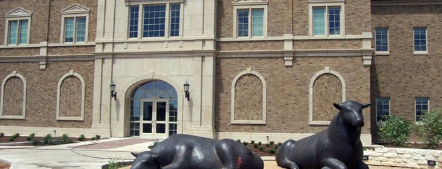 TTU - Animal & Food Sciences is one of Texas Tech Public Art Tour 4.
