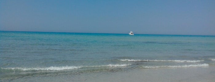 Rtiba Plage is one of Nabeul : To Do List.