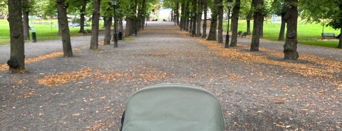 Humlegården is one of Frank’s Liked Places.